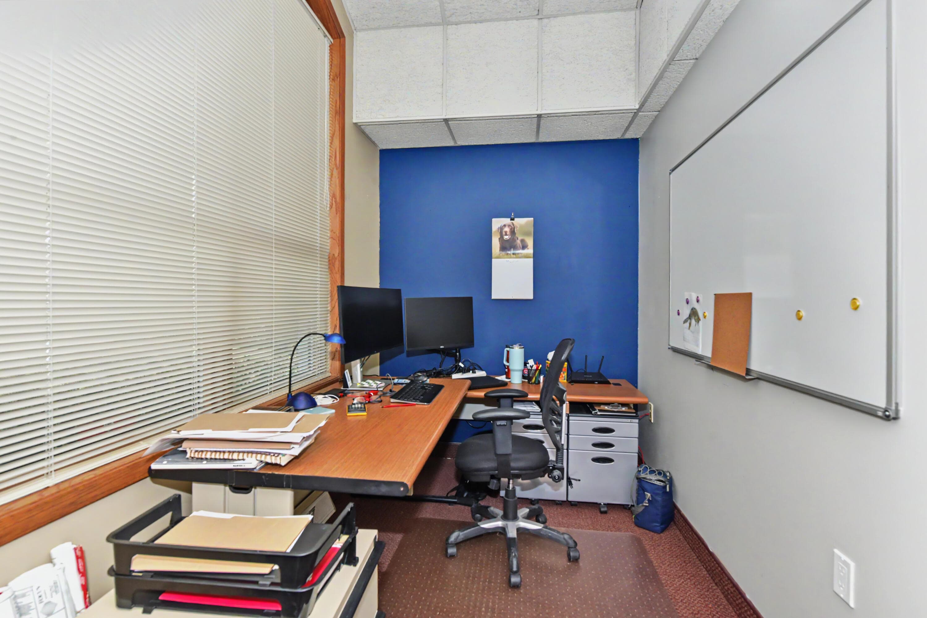 Photo 8