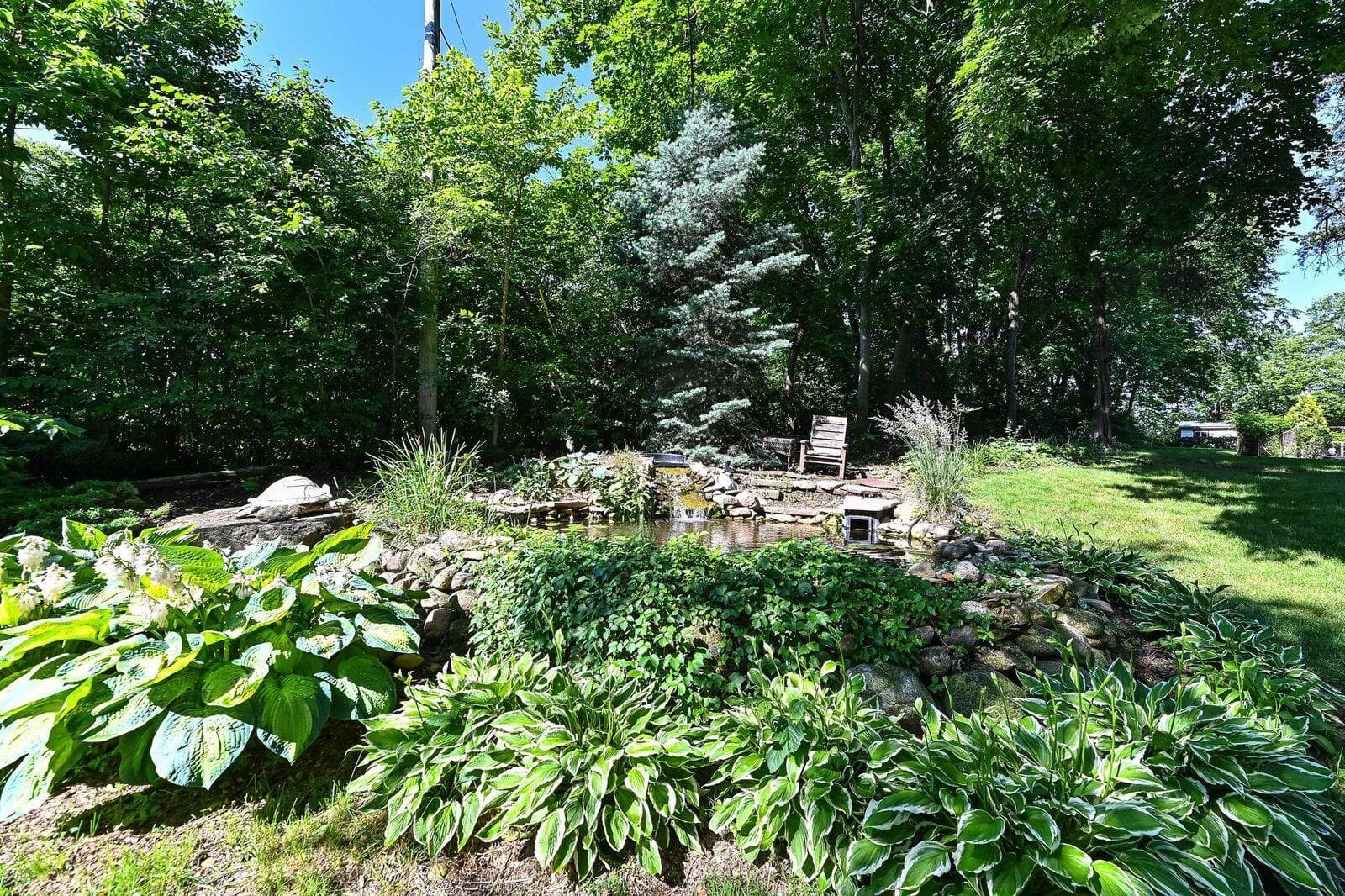 Photo 41