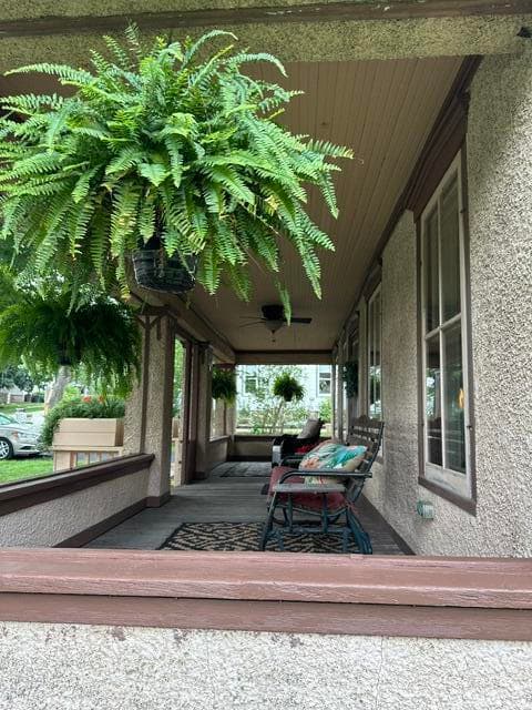 Photo 23