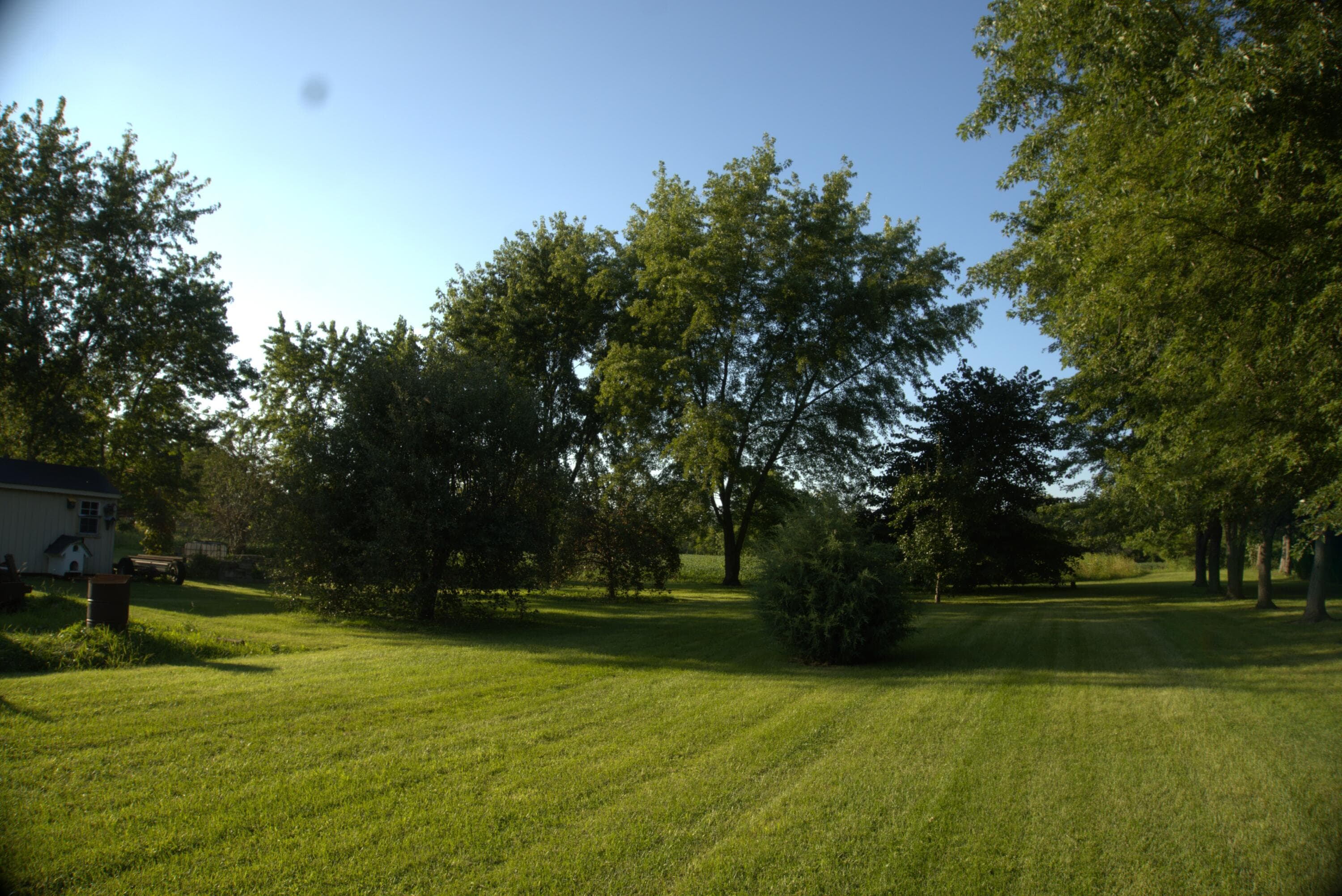 Photo 6