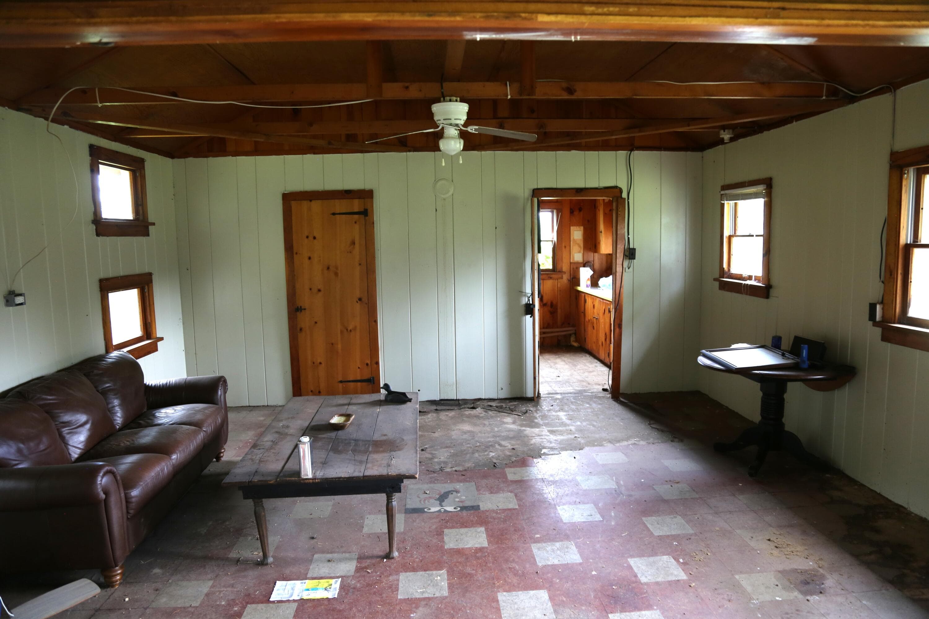 Photo 5