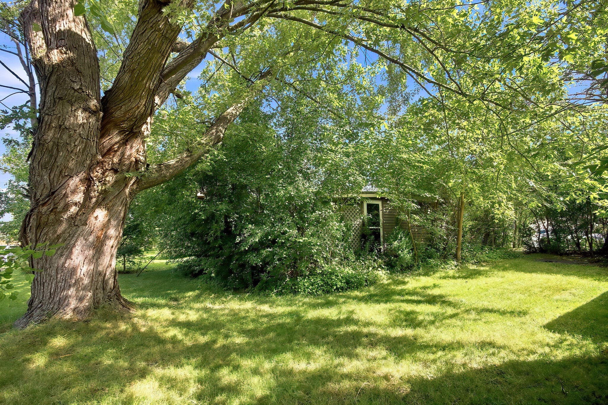 Photo 25