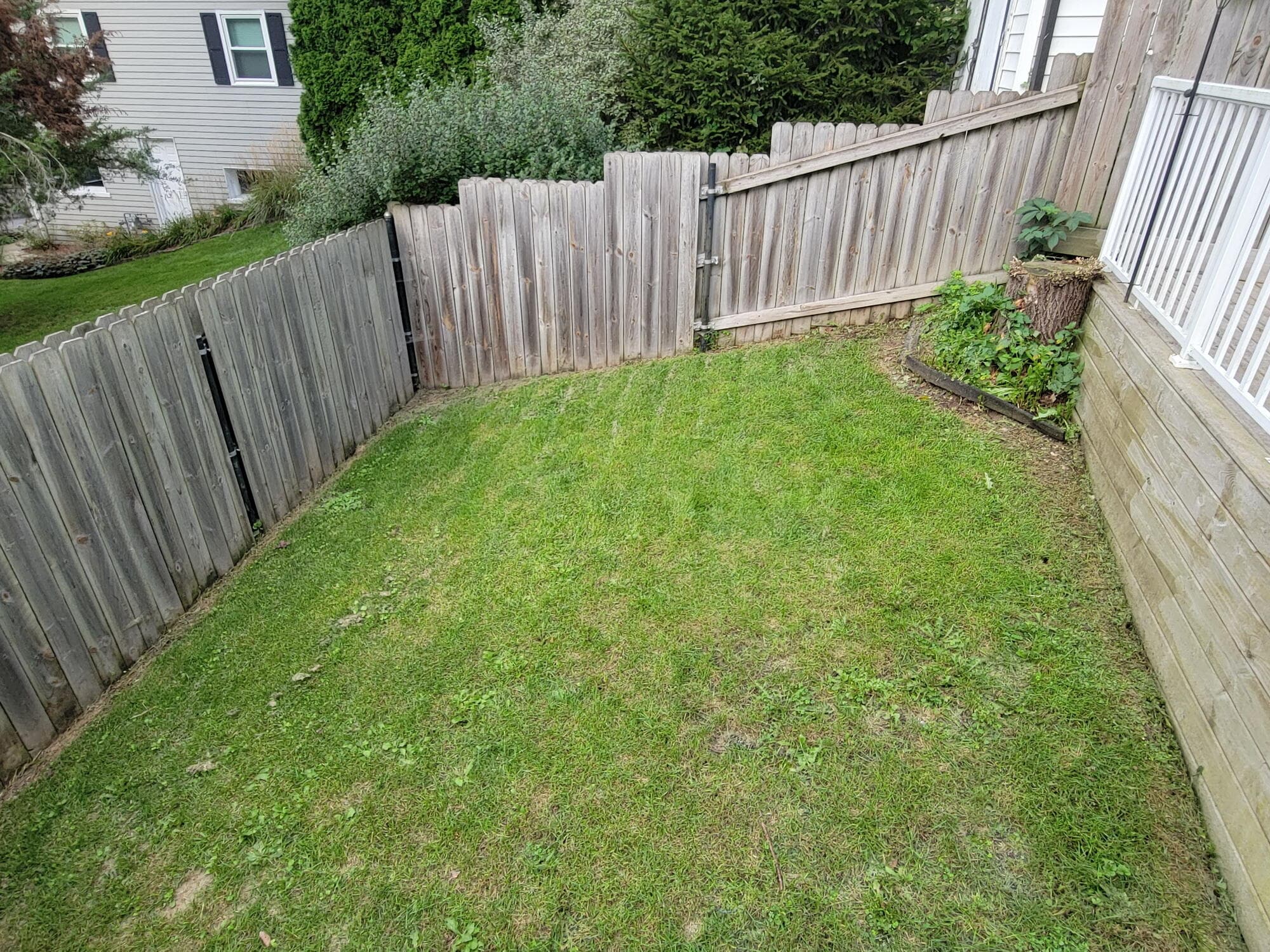 Photo 26