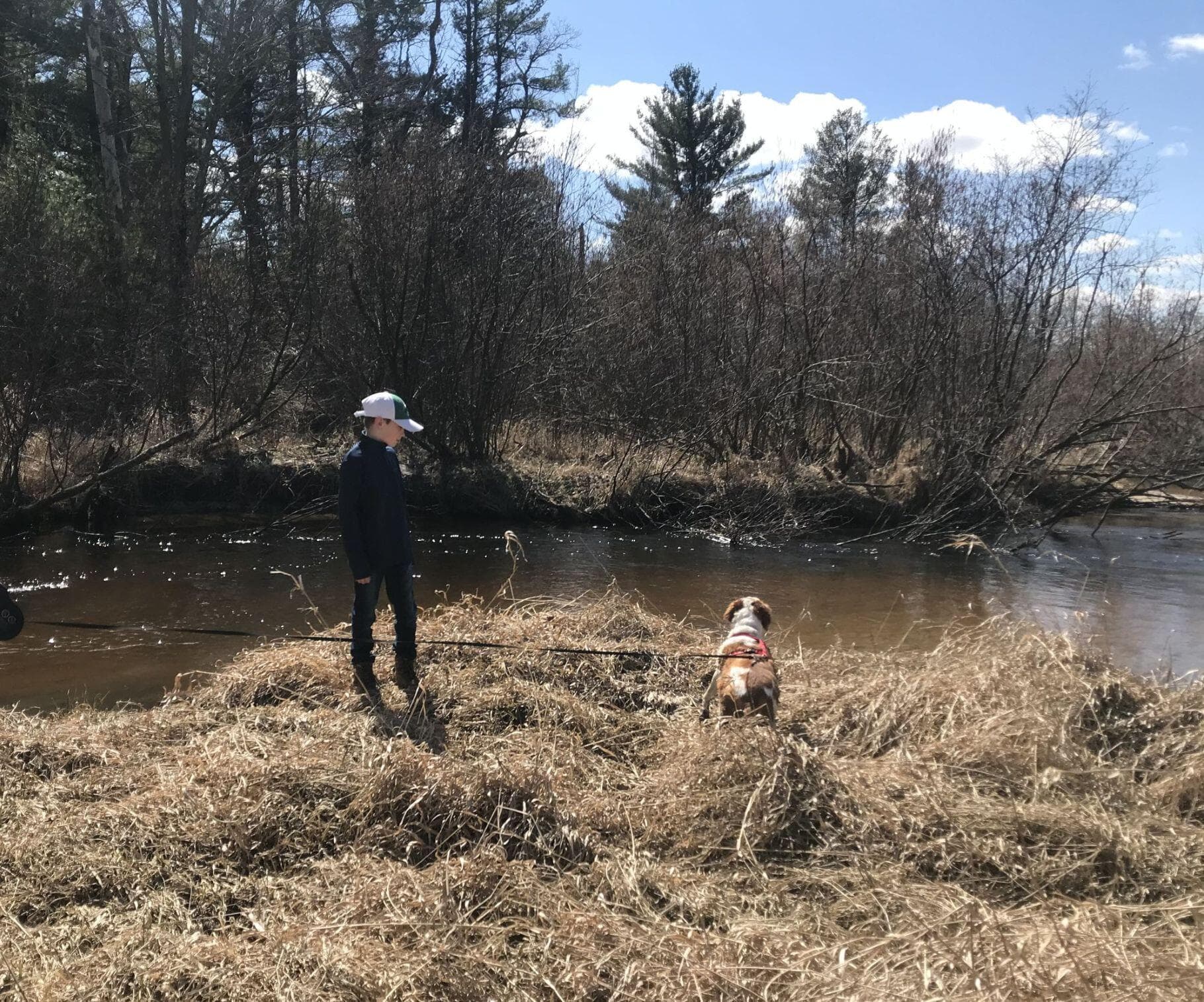 Photo 19