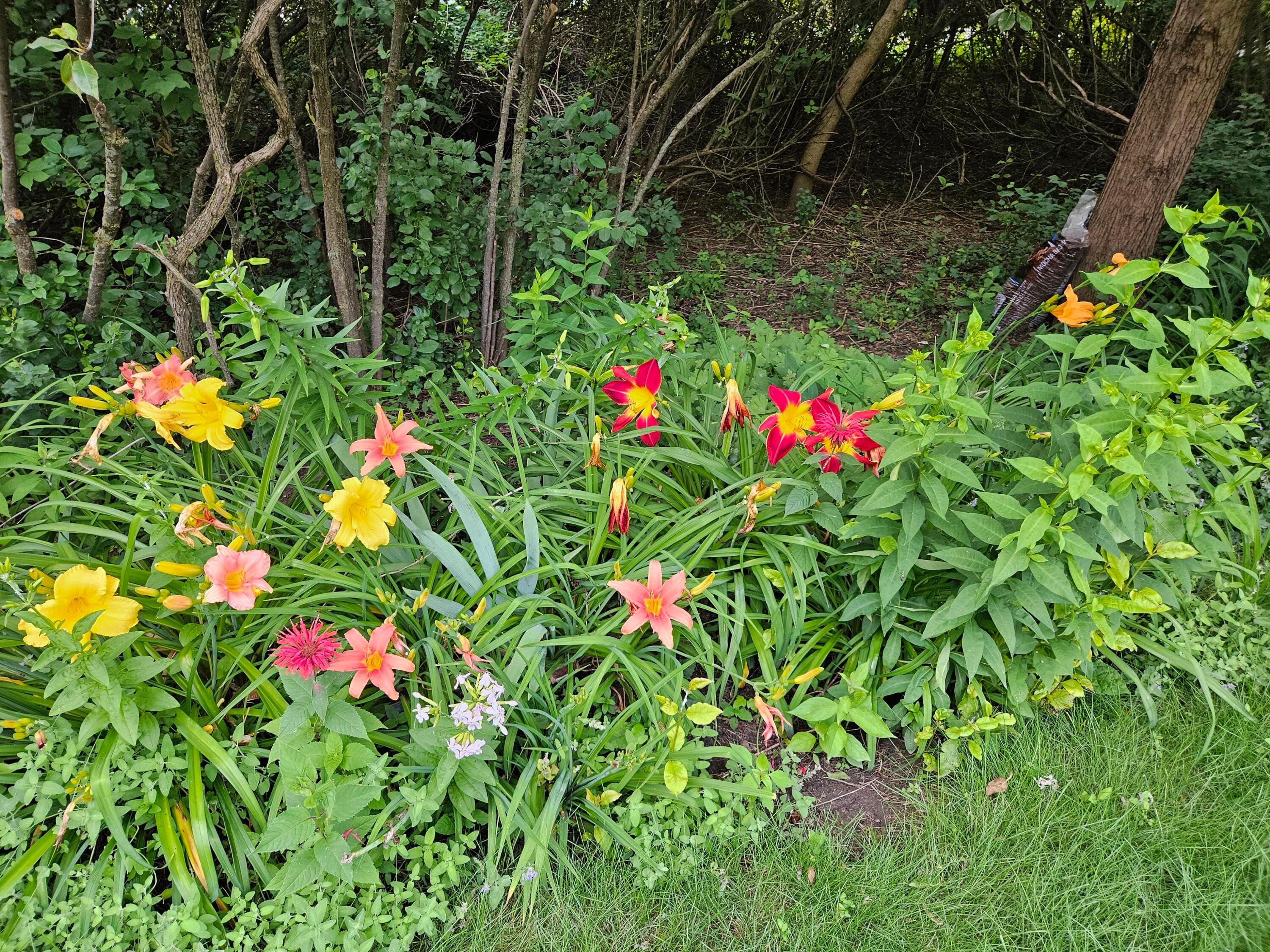 Photo 42