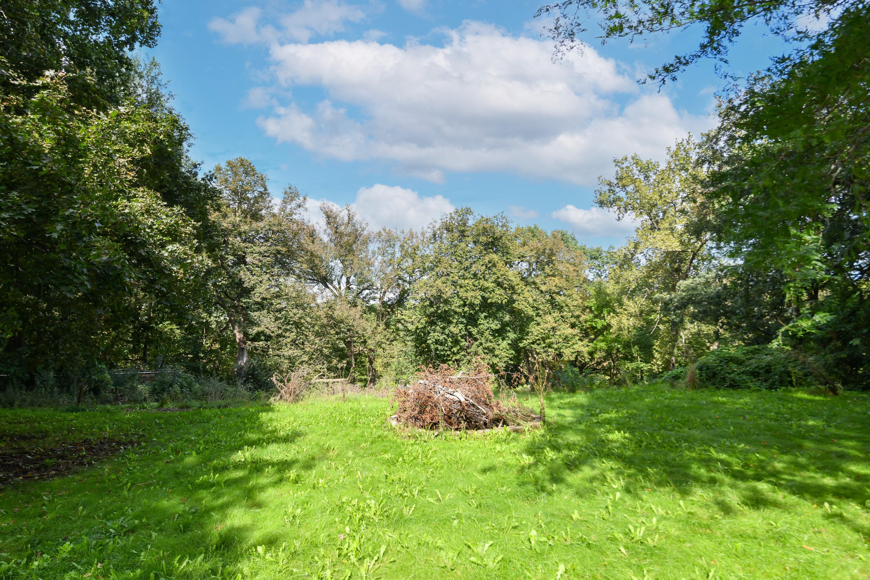 Photo 43