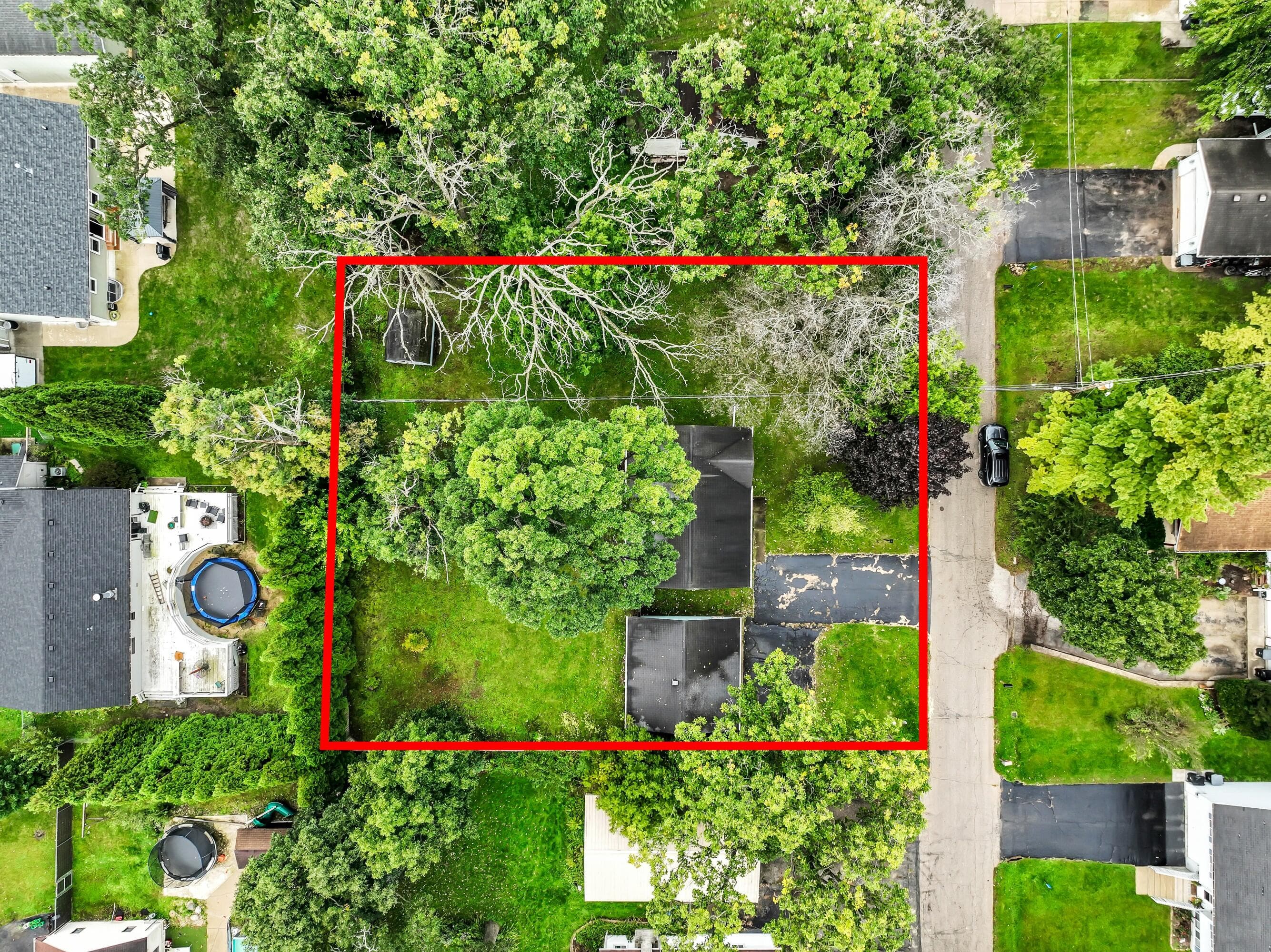 Photo 46