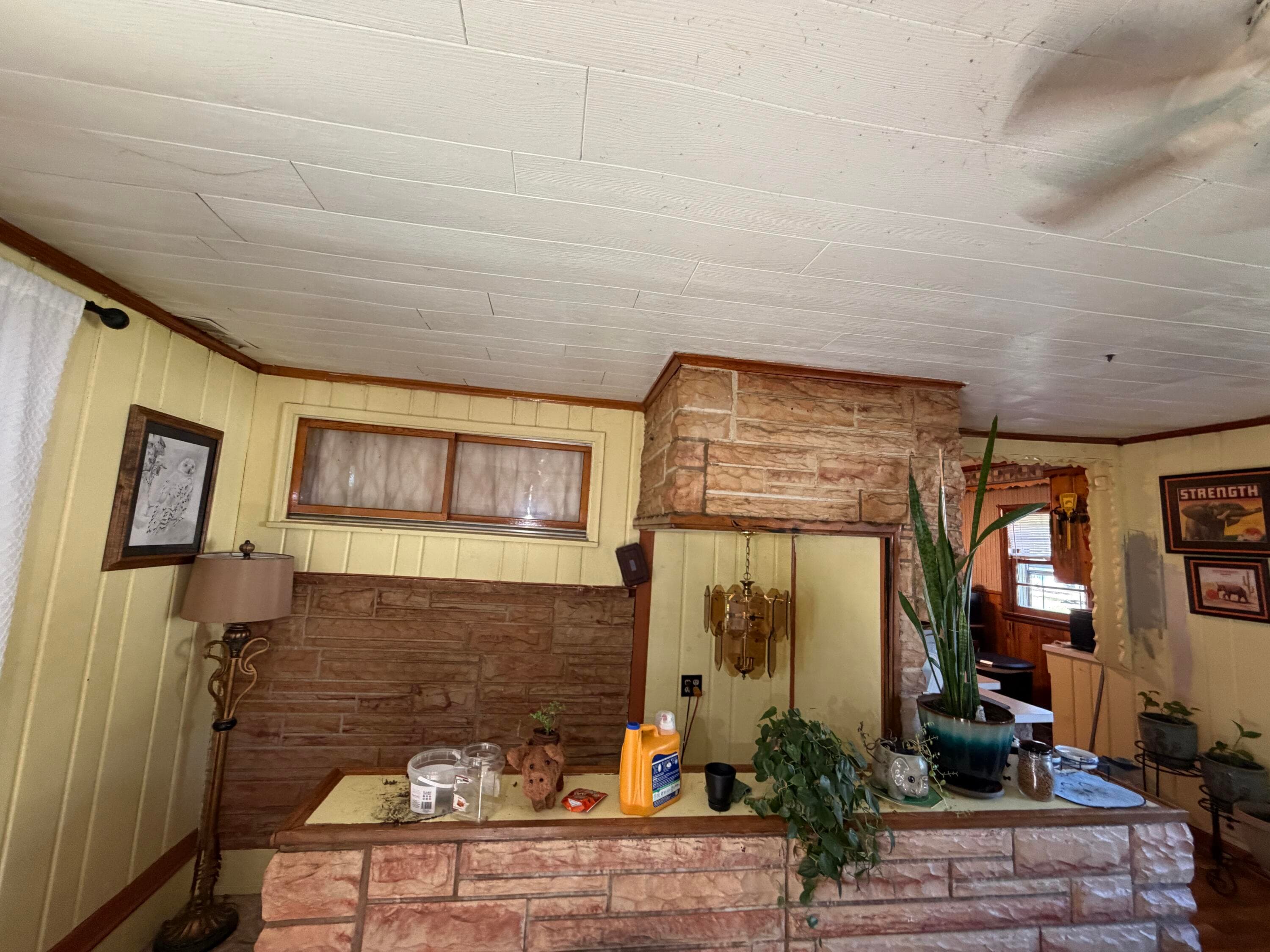Photo 42