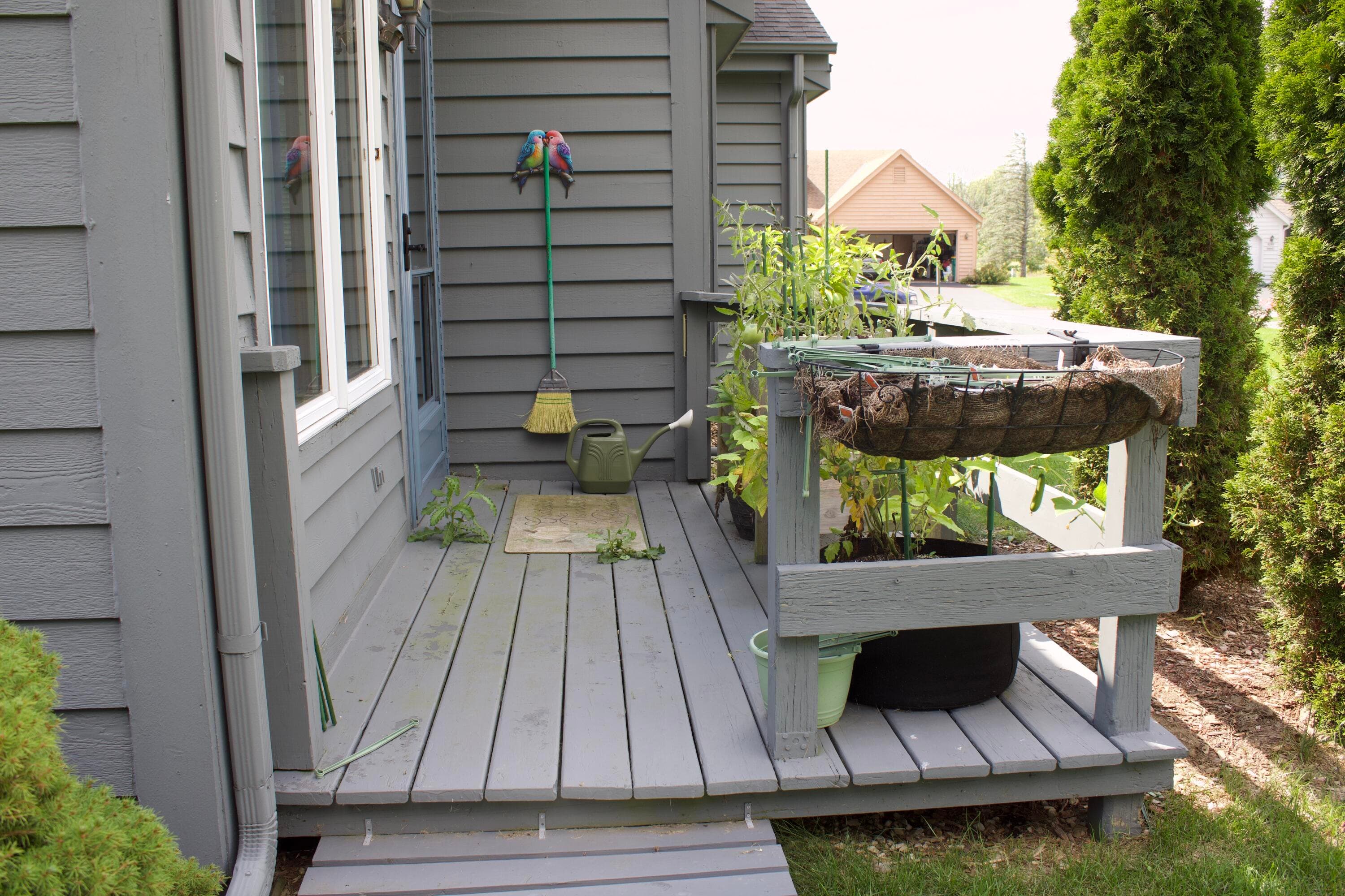 Photo 5