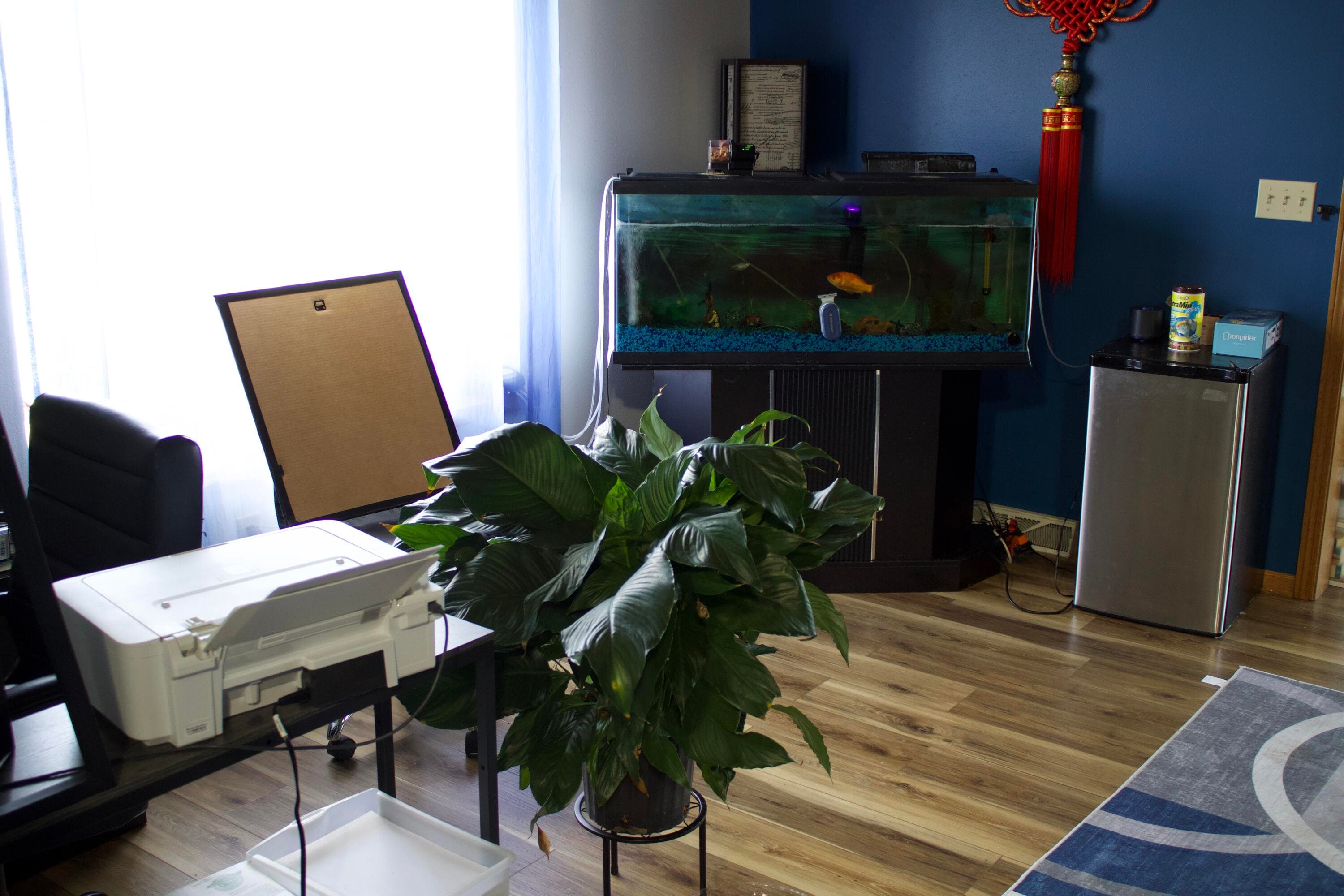 Photo 13