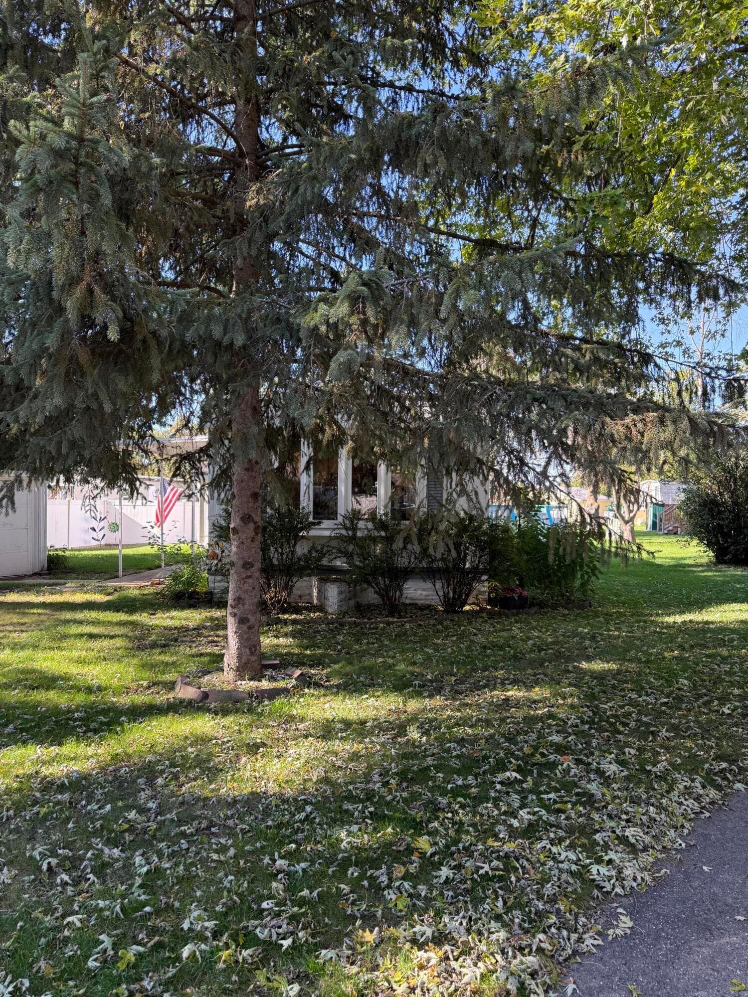 Photo 28