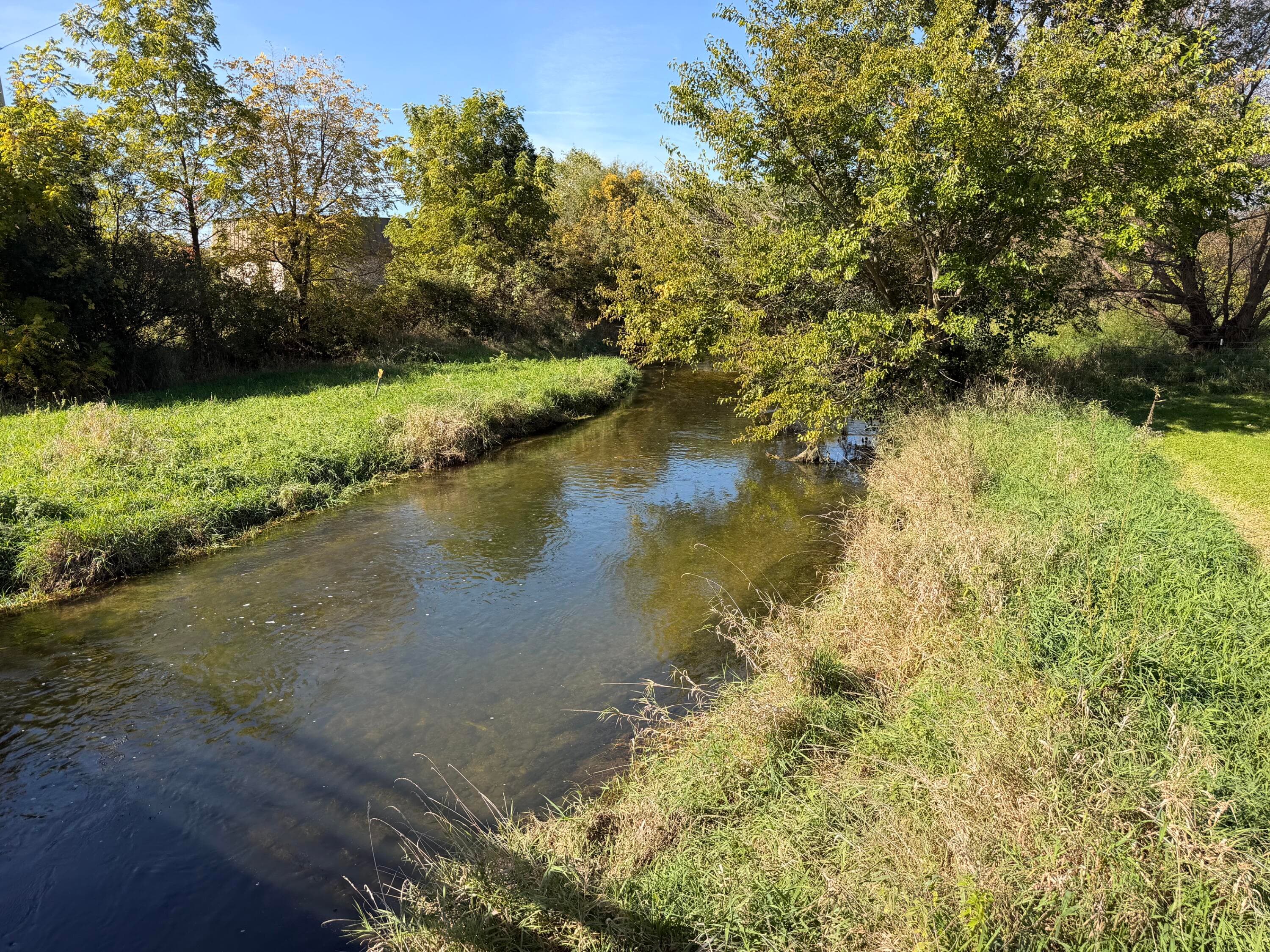 Photo 38