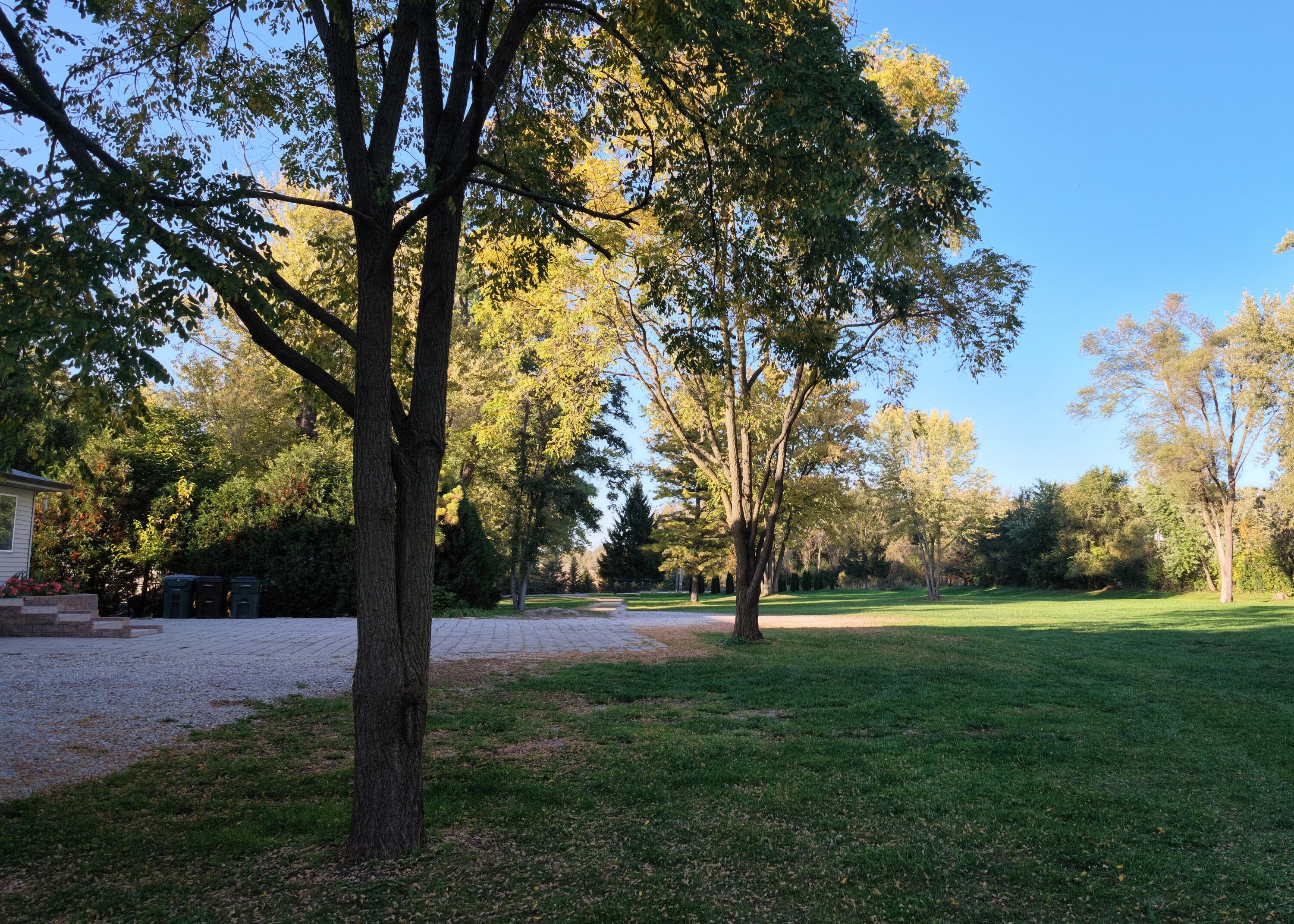 Photo 41