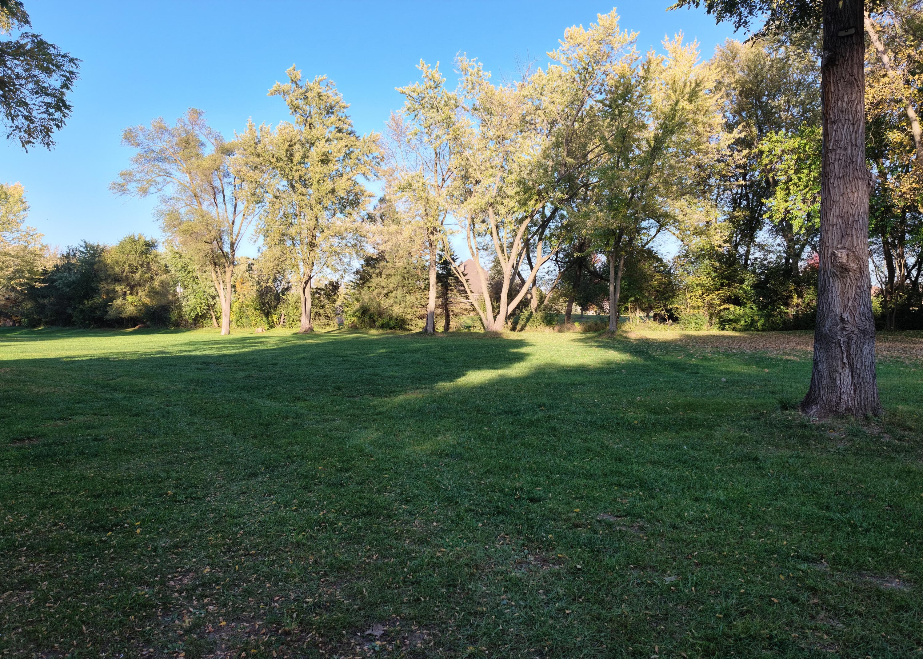 Photo 42