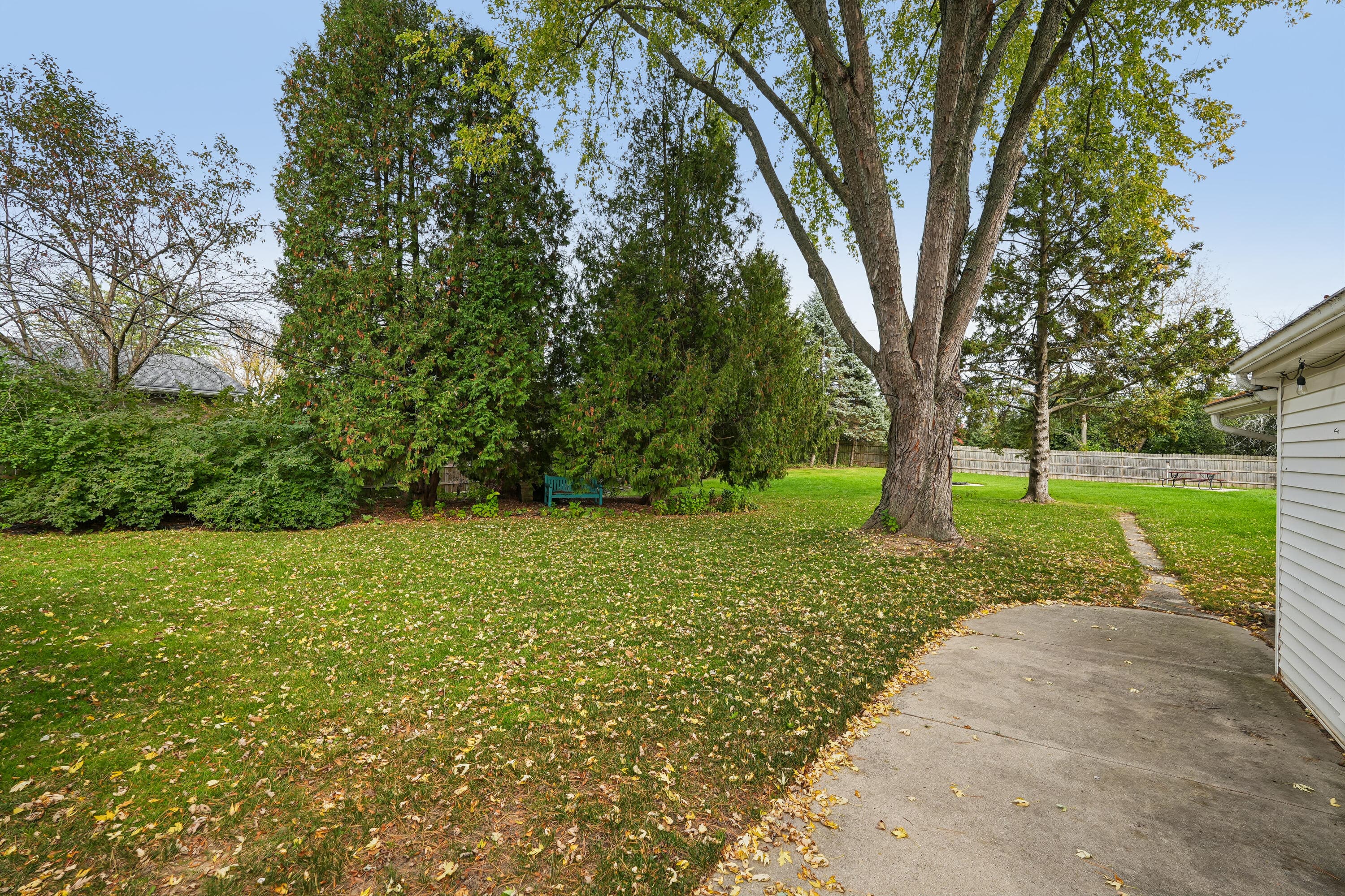 Photo 30