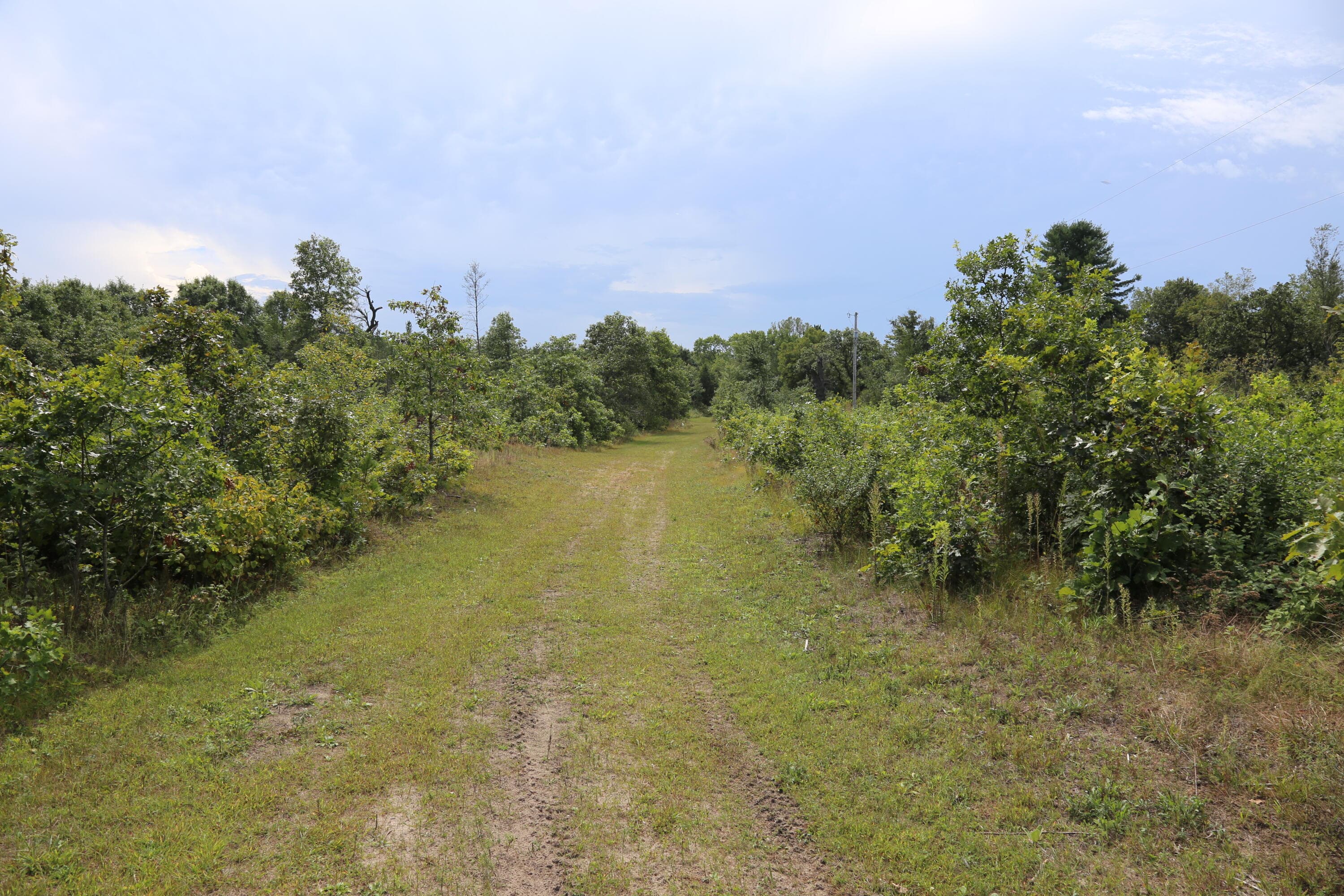 12249 Firefly Rd, Lafayette, Wisconsin, 54656