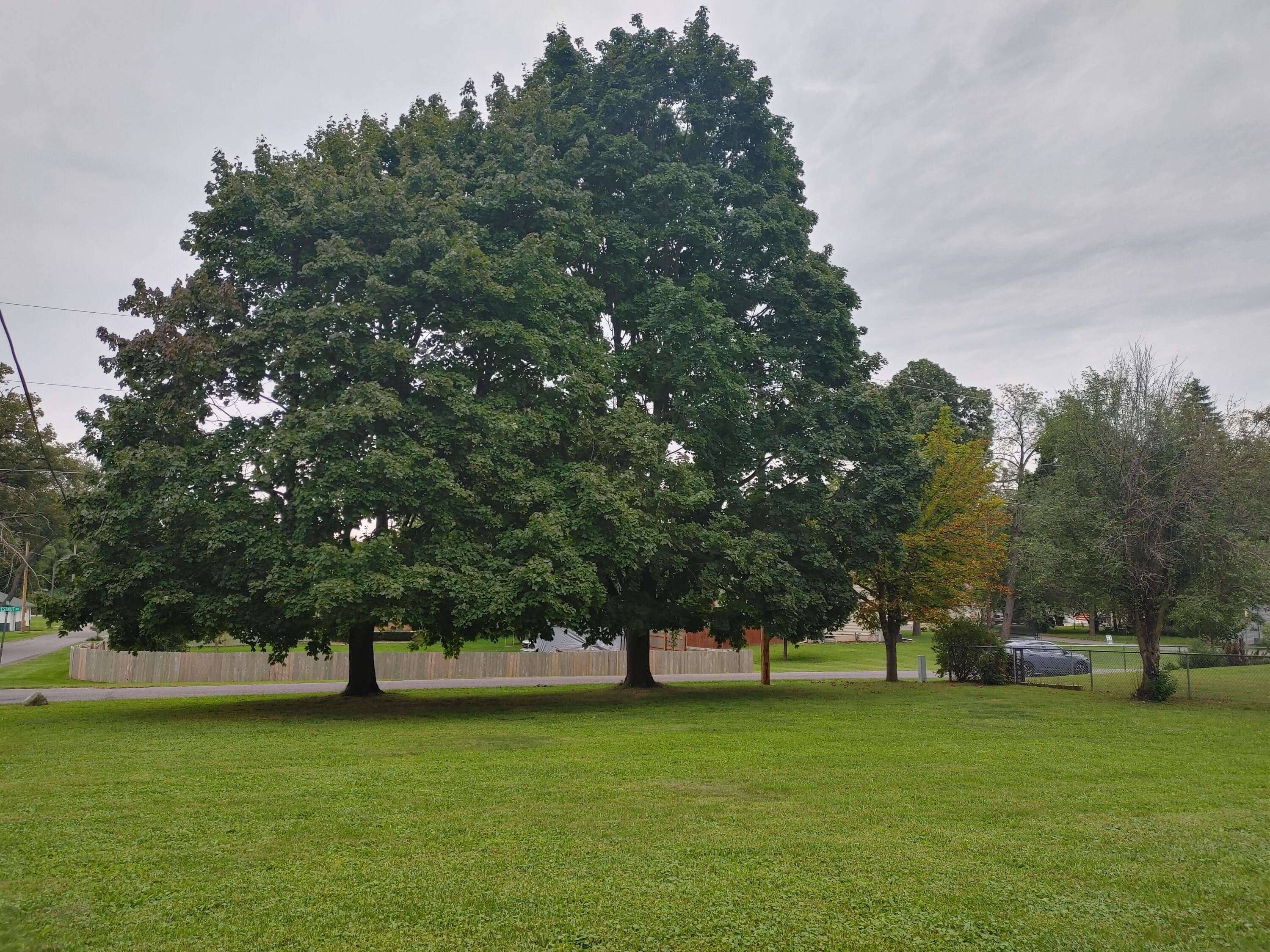 Lt2 Pine Rd, Bloomfield, Wisconsin, 53128