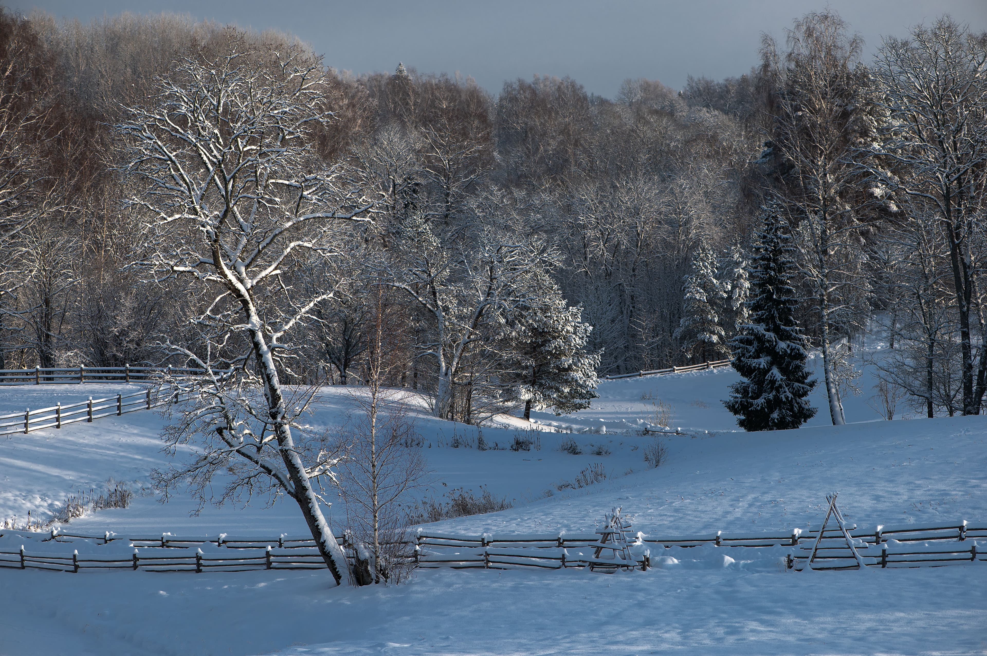 Snow-covered trees and wooden fence, blue sky, winter contrasts in Lake Geneva, WI
