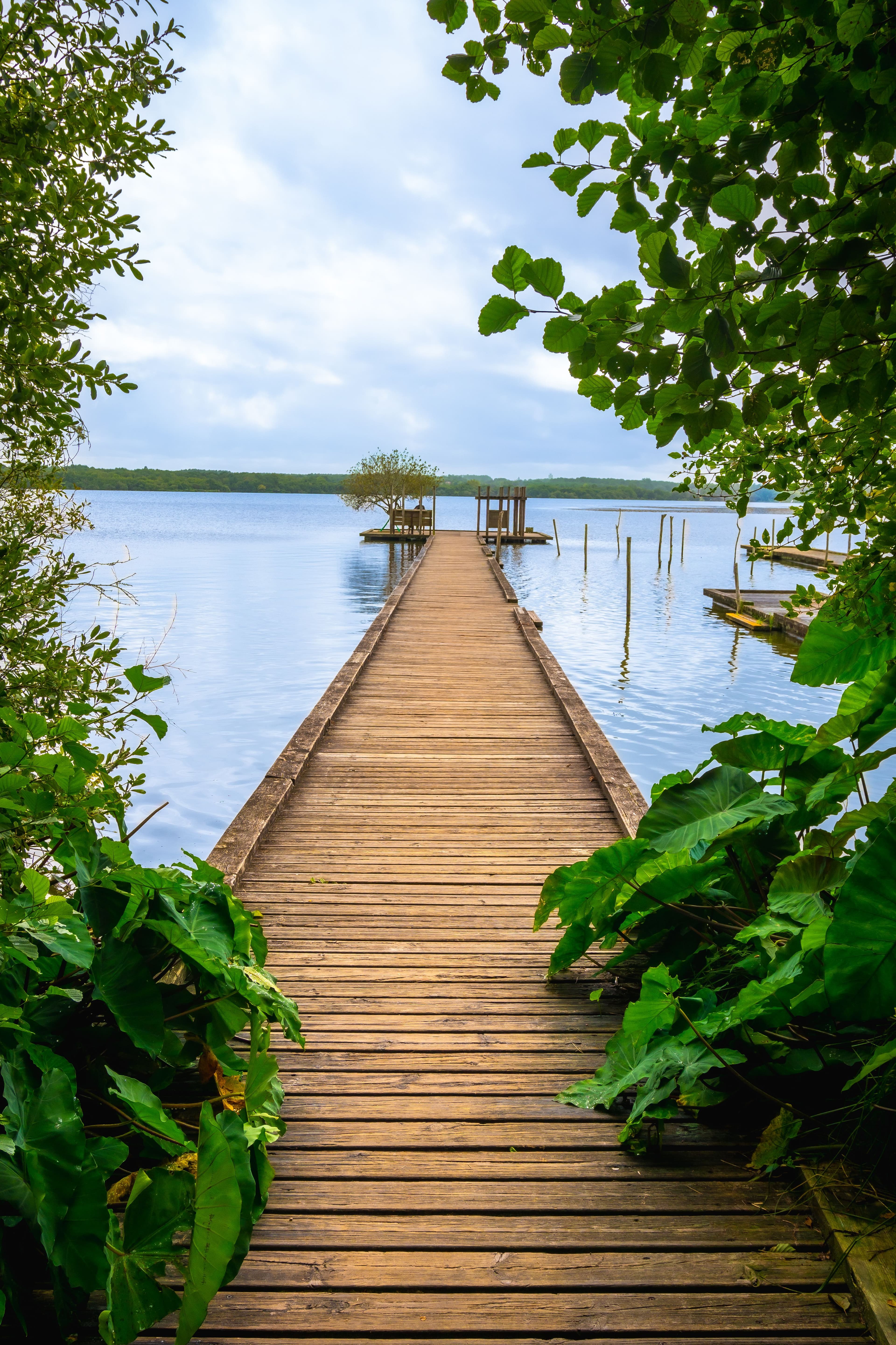 Geneva Lake Water Rights: 4 Signs of Elite Fontana Access