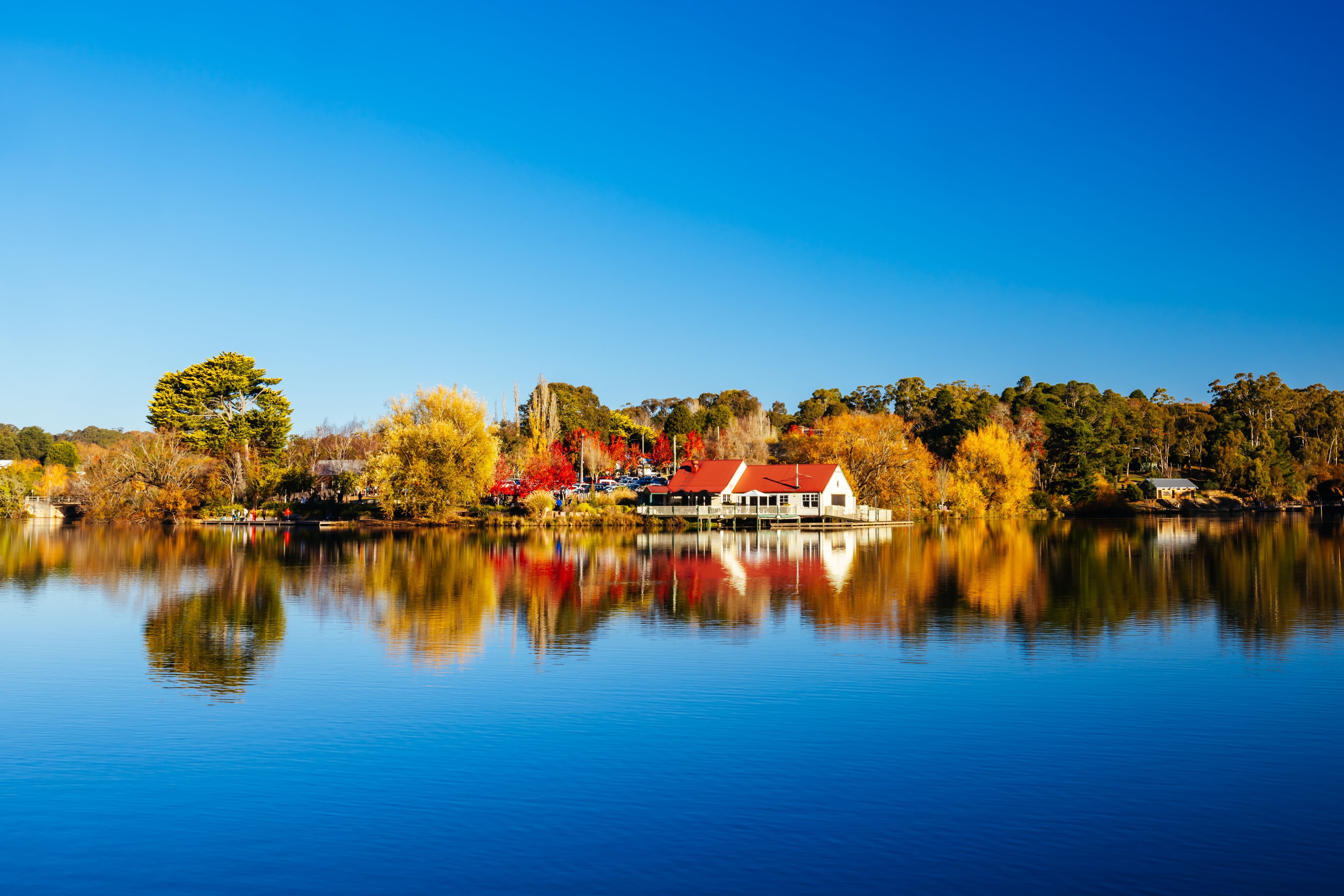 Williams Bay Waterfront Homes: What $500K Actually Gets You in 2026